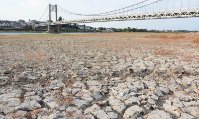Безпрецедентна суша в Западна Европа