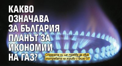 Какво означава за България Планът за икономии на газ?