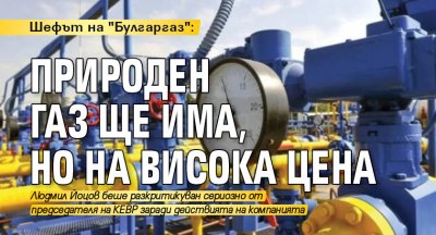 Шефът на "Булгаргаз": Природен газ ще има, но на висока цена