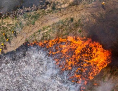 Над 2 хиляди декара смесени гори горят край Панагюрище