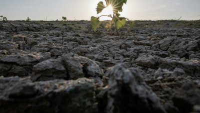 Франция създава кризисна работна група заради сушата