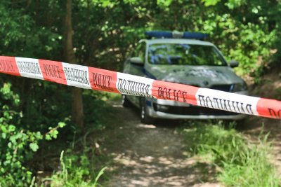 Убийство в пернишкото село Кладница Швейцарският бизнесмен Удо Ланге е
