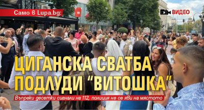 Само в Lupa.bg: Циганска сватба подлуди "Витошка" (ВИДЕО)