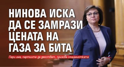 Нинова иска да се замрази цената на газа за бита