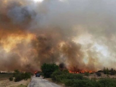 Овладян е пожарът в бившия птицекомбинат край село Мраморен съобщиха