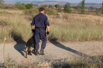 Брутално: Бежанци убиха с колове и заклаха следово куче на границата край Малко Търново