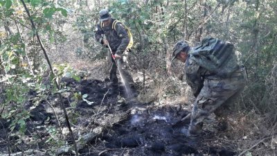 Огънят край военния полигон при Казанлък отново се разгоря съобщиха