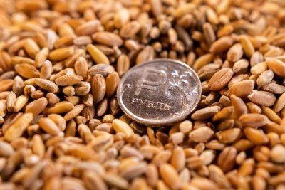 Русия е откраднала 200 000 тона зърно от Луганска област