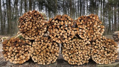 Хърватия обмисля 5% ДДС за дърва за огрев, пелети и брикети