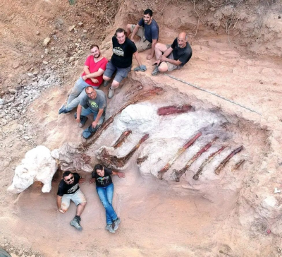 Учени разкопават в двор в Португалия останките на огромен динозавър