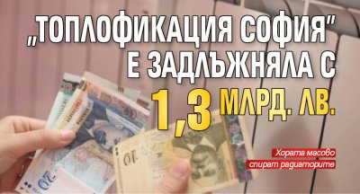 "Топлофикация София" е задлъжняла с 1,3 млрд. лв.