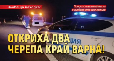 Зловеща находка: Откриха два черепа край Варна!