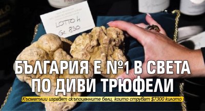 България е №1 в света по диви трюфели