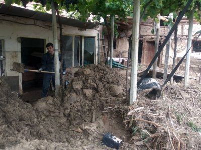 РЗИ Пловдив разпореди на кметовете на общините струпването обработката и извозването
