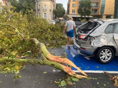 Част от Черноморието остава без ток заради паднали стълбове