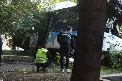 Автобус от столичния градски транспорт се удари в дърво а