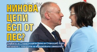 Шефката на БСП Корнелия Нинова прави опит за ответен удар