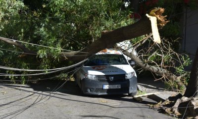 Ураганният вятър в Сливен събори дървета върху два автомобила