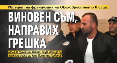 Убиецът на французина на Околовръстното в съда: Виновен съм, направих грешка