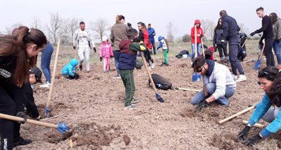 Доброволци засаждат Новата гора на София