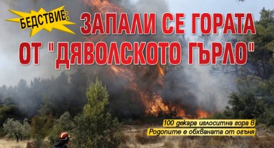 Бедствие: Запали се гората от "Дяволското гърло"