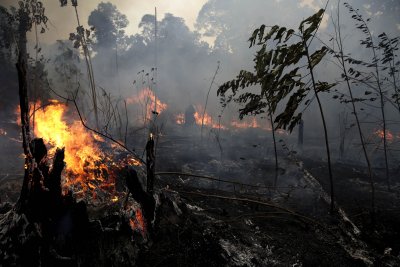 Пожарите в Амазония са под контрол, "Епъл" също обеща милиони