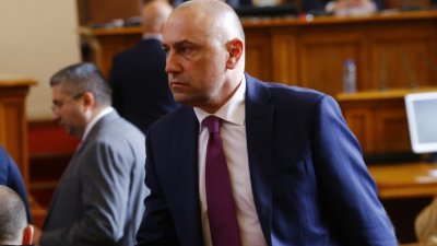 Неуспелият кандидат за управител на Българската народна банка и бивш