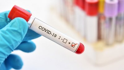 Близо 15% от тестовете за коронавирус са положителни за последните 24 часа