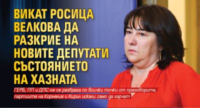 Викат Росица Велкова да разкрие на новите депутати състоянието на хазната