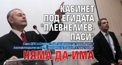 Кабинет под егидата "Плевнелиев-Паси" няма да има