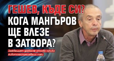 ГЕШЕВ, КЪДЕ СИ? Кога Мангъров ще влезе в затвора?