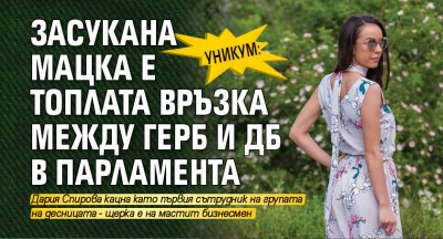 УНИКУМ: Засукана мацка е топлата връзка между ГЕРБ и ДБ в парламента