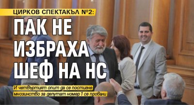 ЦИРКОВ СПЕКТАКЪЛ №2: Пак не избраха шеф на НС