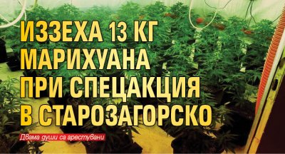 Иззеха 13 кг марихуана при спецакция в Старозагорско