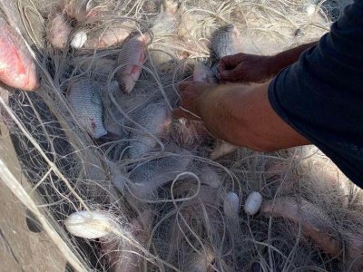Инспектори от ИАРА откриха бракониерски мрежи с голямо количество риба