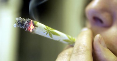 Германия ще узакони марихуаната