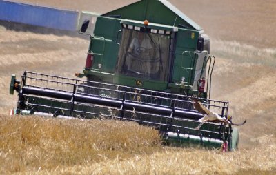 Зърното поскъпна, след като Русия излезе от сделката за износ