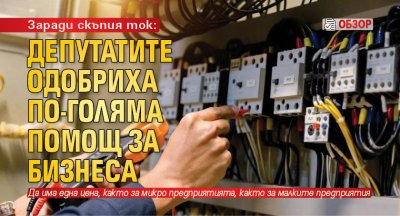 Заради скъпия ток: Депутатите одобриха по-голяма помощ за бизнеса (обзор)