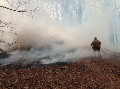 Към момента пожарът в местността Гюмюрджински снежник в община Кирково