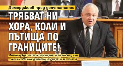 Демерджиев пред депутатите: Трябват ни хора, коли и пътища по границите!