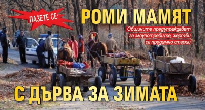 Зачестяват измамите с покупко продажба на дърва за огрев в Кюстендилско
