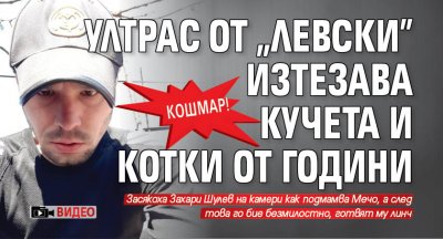 КОШМАР: Ултрас от "Левски" изтезава кучета и котки от години (ВИДЕО)