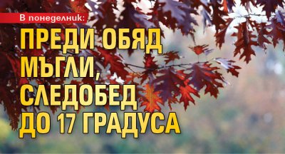 В понеделник: Преди обяд мъгли, следобед до 17 градуса