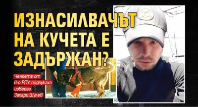 Изнасилвачът на кучета е задържан?