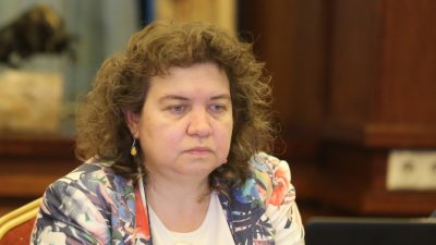 Доц. Наталия Киселова: “Български възход” е в блока на ГЕРБ и ДПС