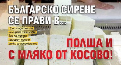 Българско сирене се прави в... Полша и с мляко от Косово!