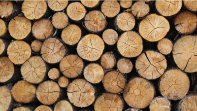 Гърция забрани експорта на дърва за огрев