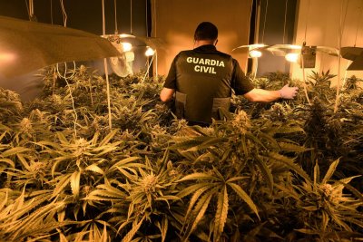 Полицията в Испания задържа над 50 тона марихуана най голямото