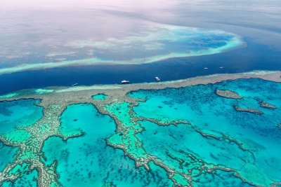 Министърката на екологията на Австралия съобщи че правителството на страната