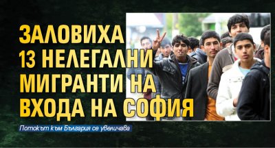 Заловиха 13 нелегални мигранти на входа на София